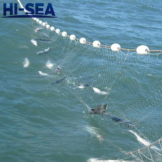 Gill Net